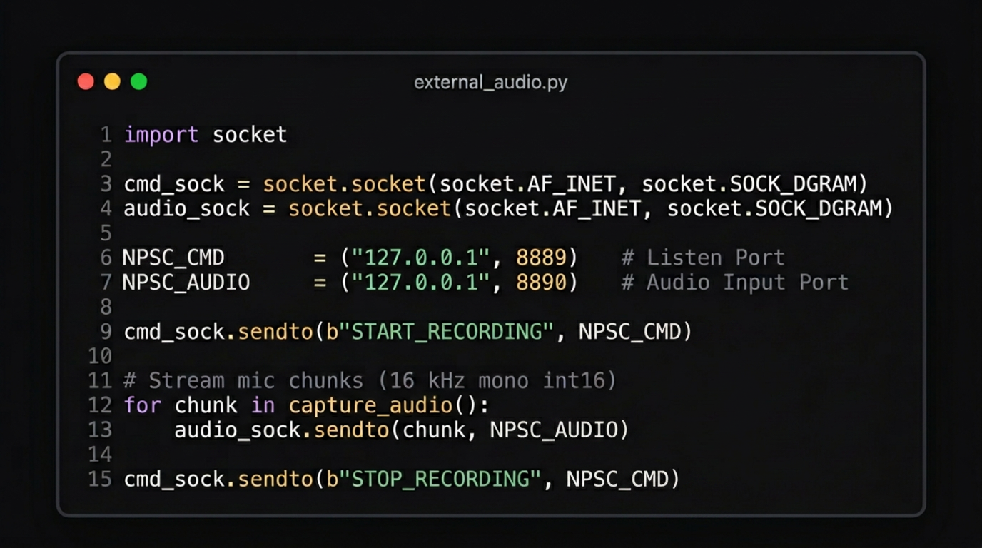 Python code example for external audio integration
